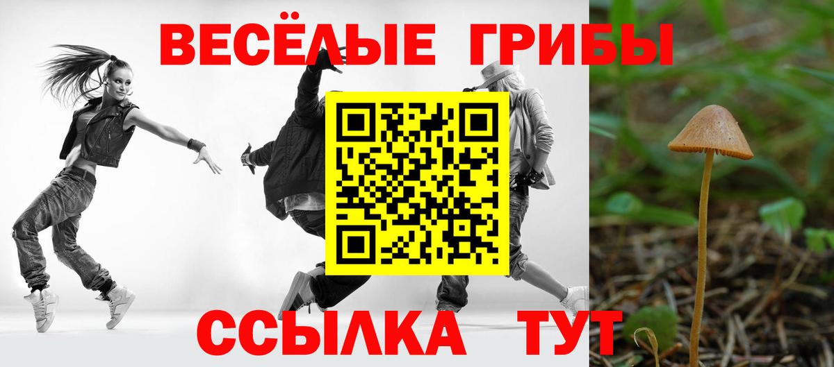 Псилоцибиновые грибы MAGIC MUSHROOMS  Вход с VPN  Белореченск 